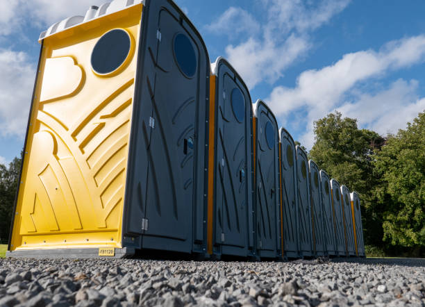 Best Eco-Friendly Portable Toilets  in Hutchinson, MN